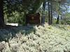 bcwfmc > Redwood Run June 2007 photo