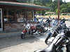 bcwfmc > Redwood Run June 2007 photo