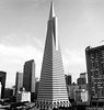 bcwfmc > TransAmerica Pyramid