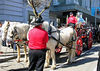 bcwfmc > 1906 Great Earthquake Centennial Parade - April 2006 photo